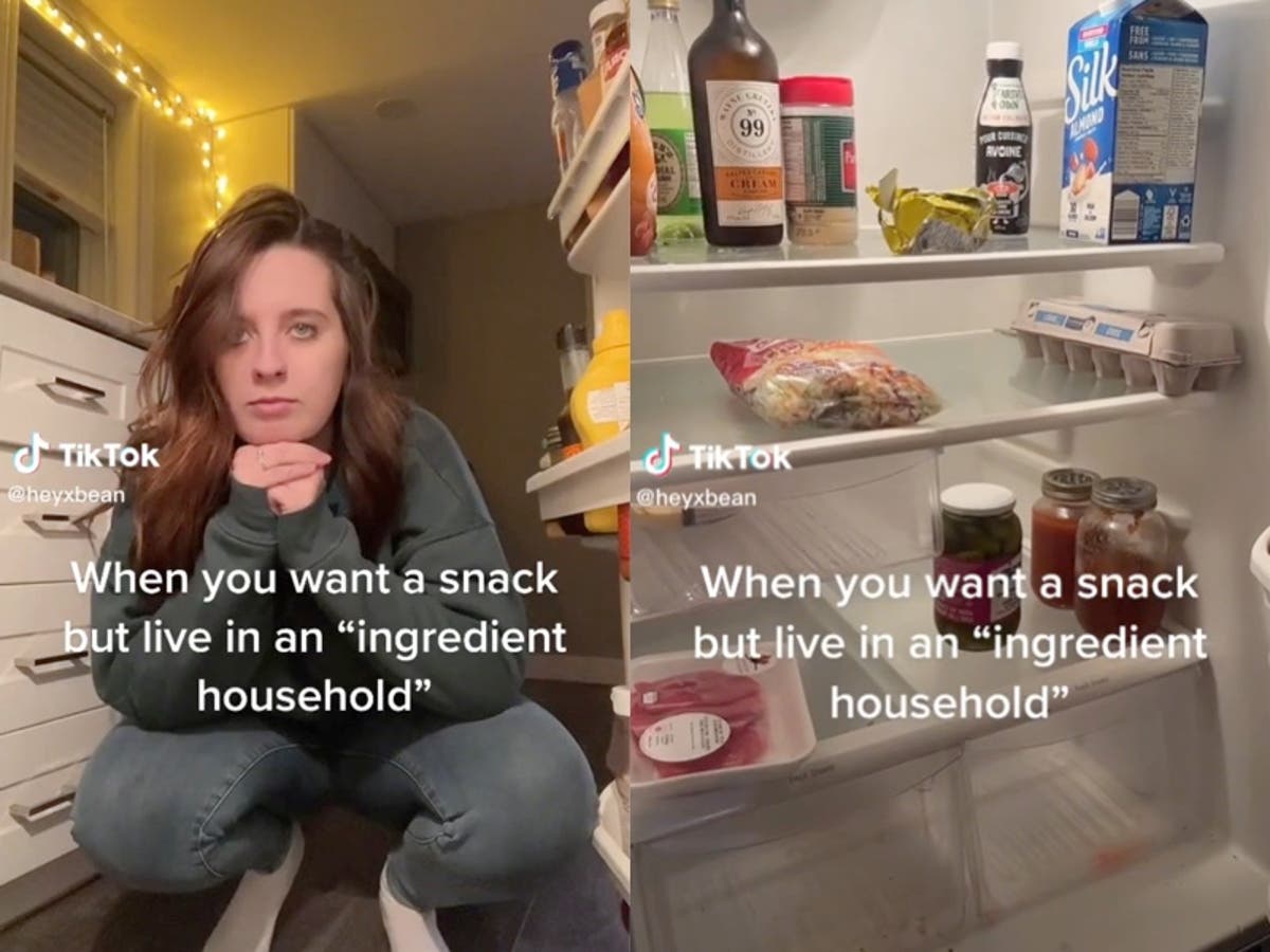 TikTok ‘ingredient household’ phrase for snackless homes goes viral